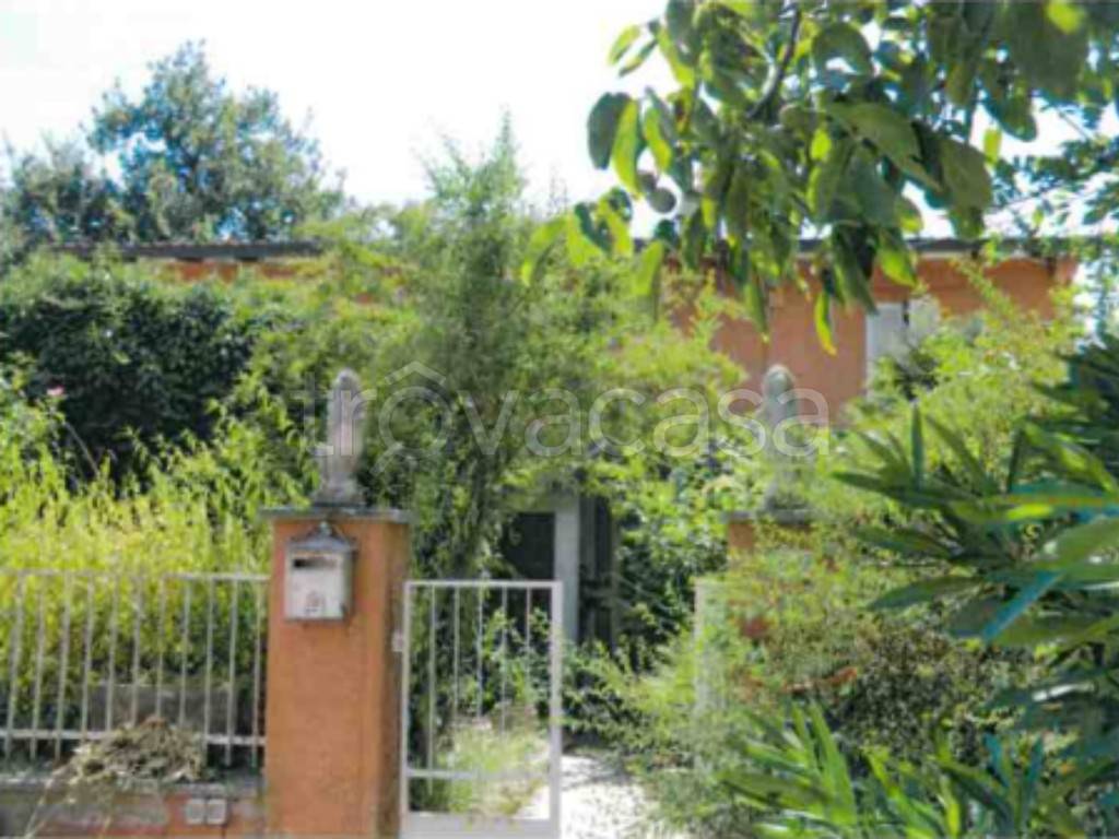 terreno agricolo in vendita a Valfabbrica