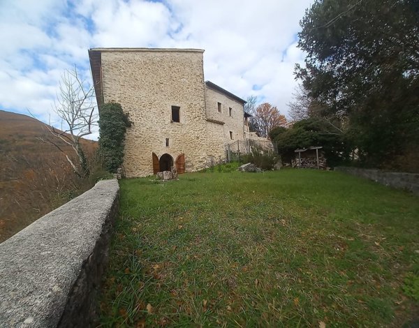 esavano in vendita a Vallo di Nera