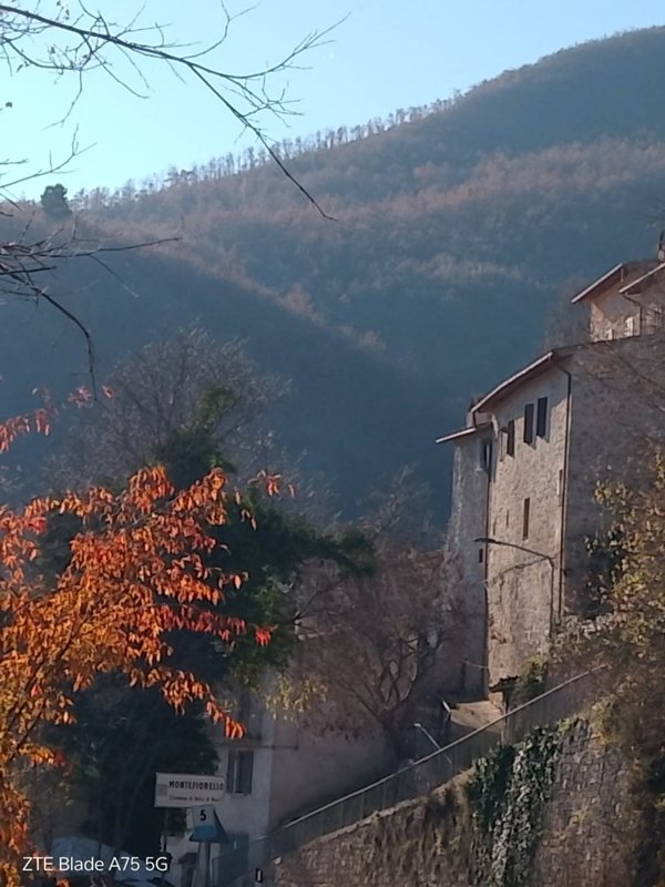 casa indipendente in vendita a Vallo di Nera in zona Meggiano
