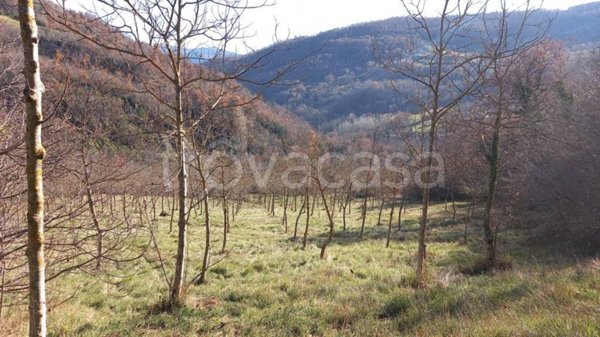 terreno agricolo in vendita a Valtopina