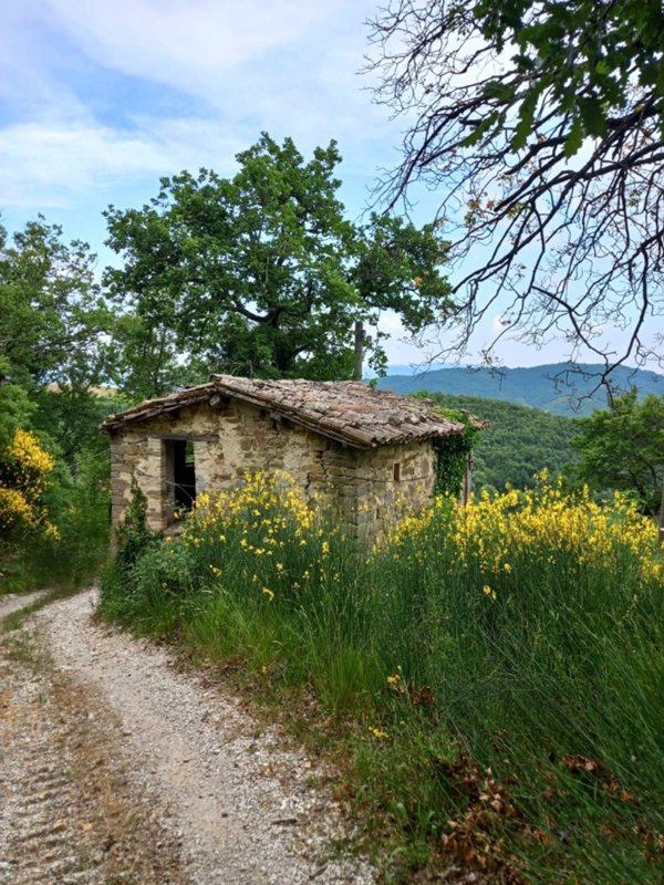 casale in vendita a Valtopina