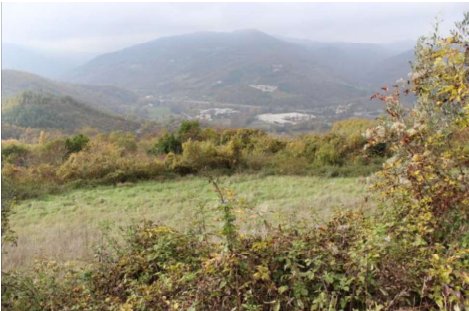terreno agricolo in vendita a Valtopina