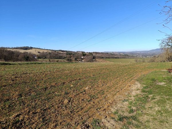 terreno agricolo in vendita ad Acquasparta