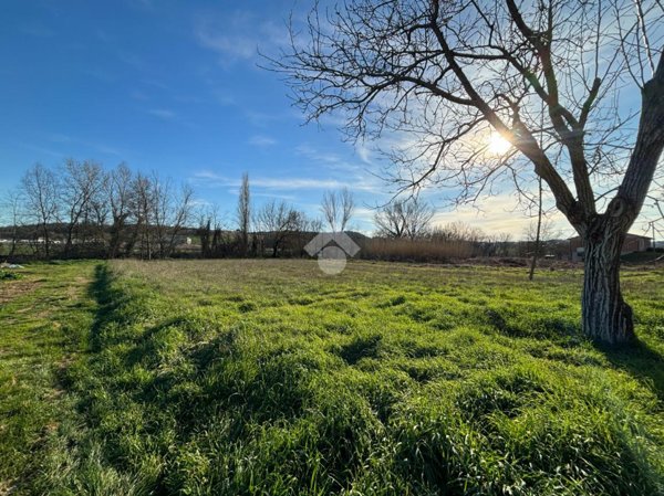 terreno agricolo in vendita ad Acquasparta