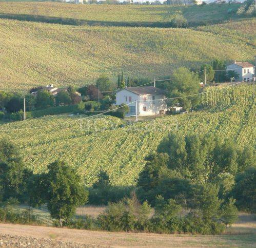 casa indipendente in vendita ad Acquasparta