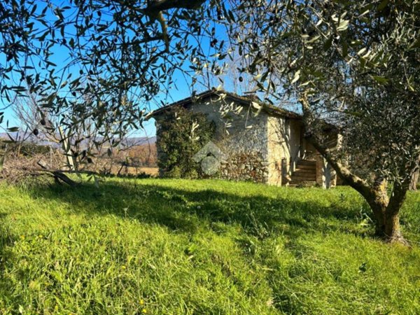 appartamento in vendita ad Acquasparta