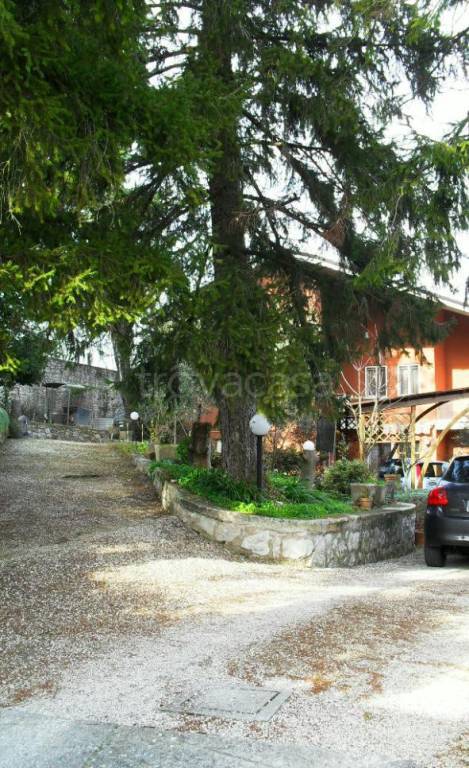 casa indipendente in vendita ad Acquasparta