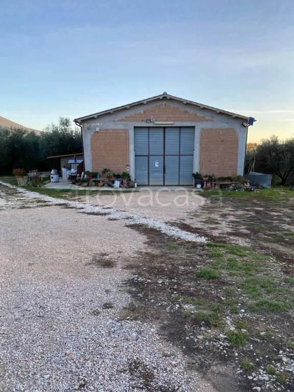 terreno agricolo in vendita ad Acquasparta