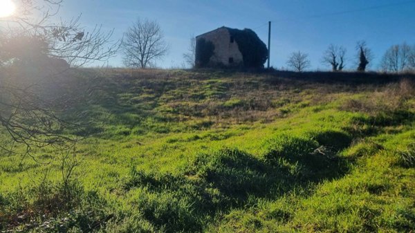 appartamento in vendita ad Acquasparta