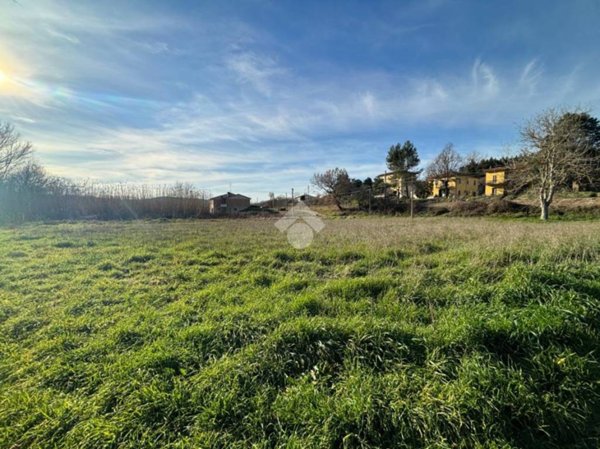 terreno agricolo in vendita ad Acquasparta