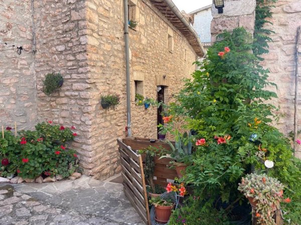 casa indipendente in vendita ad Acquasparta in zona Macerino