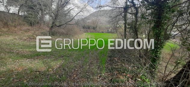 terreno agricolo in vendita ad Acquasparta