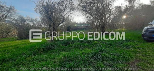 terreno agricolo in vendita ad Acquasparta