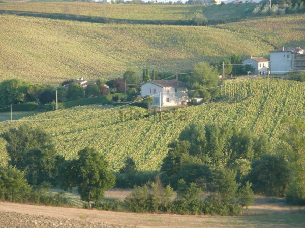 casa indipendente in vendita ad Acquasparta
