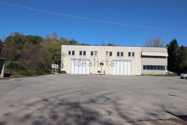 capannone in vendita ad Acquasparta