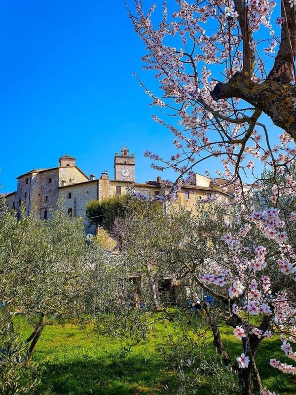 terreno edificabile in vendita ad Acquasparta in zona Portaria