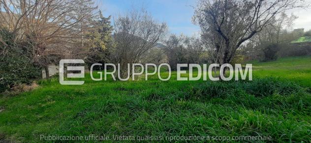 terreno agricolo in vendita ad Acquasparta