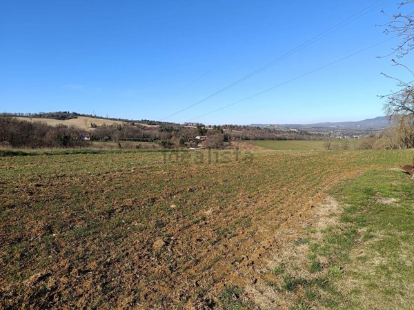 terreno agricolo in vendita ad Acquasparta