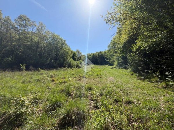 terreno agricolo in vendita ad Acquasparta in zona Macerino