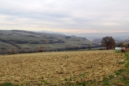 terreno edificabile in vendita ad Allerona