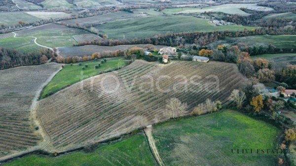 azienda agricola in vendita ad Allerona