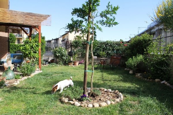 appartamento in vendita ad Allerona in zona Allerona Scalo