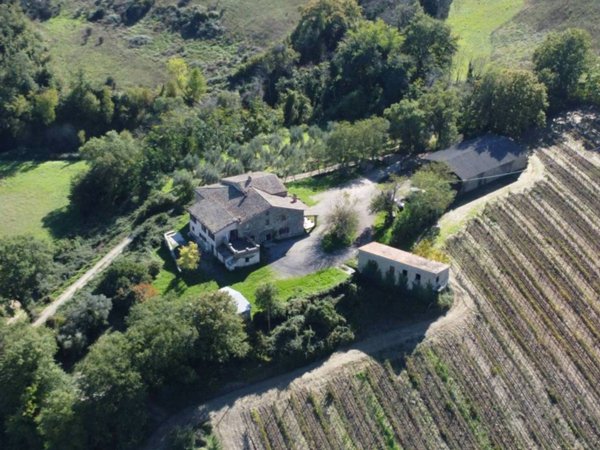terreno agricolo in vendita ad Allerona