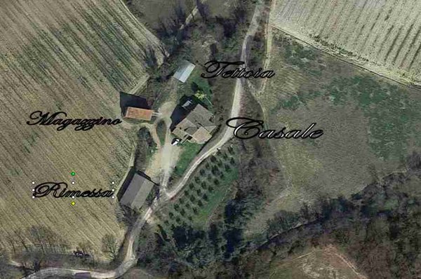 azienda agricola in vendita ad Allerona