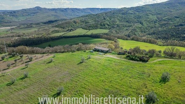 azienda agricola in vendita ad Allerona in zona Allerona Scalo