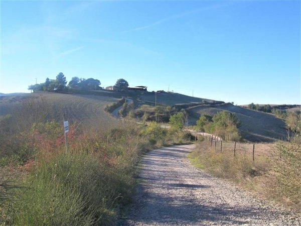 azienda agricola in vendita ad Allerona