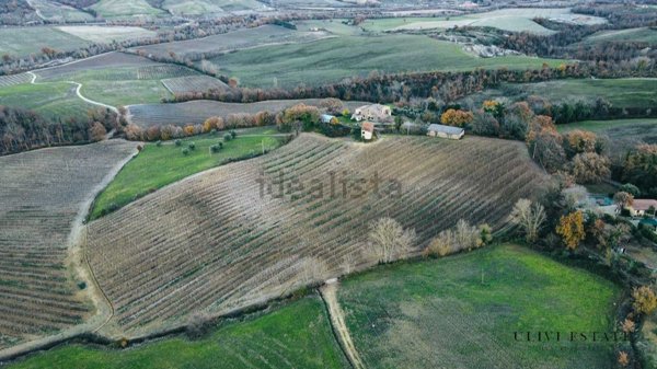 esavano in vendita ad Allerona