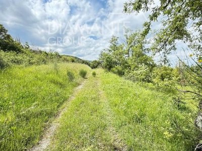 locale di sgombero in vendita ad Allerona