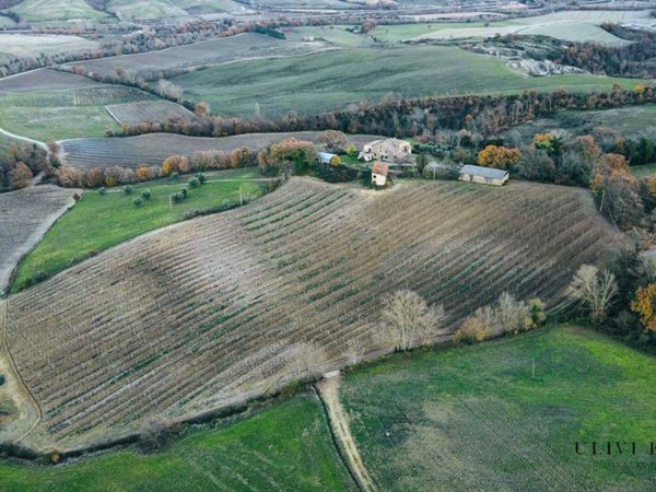 negozio in vendita ad Allerona