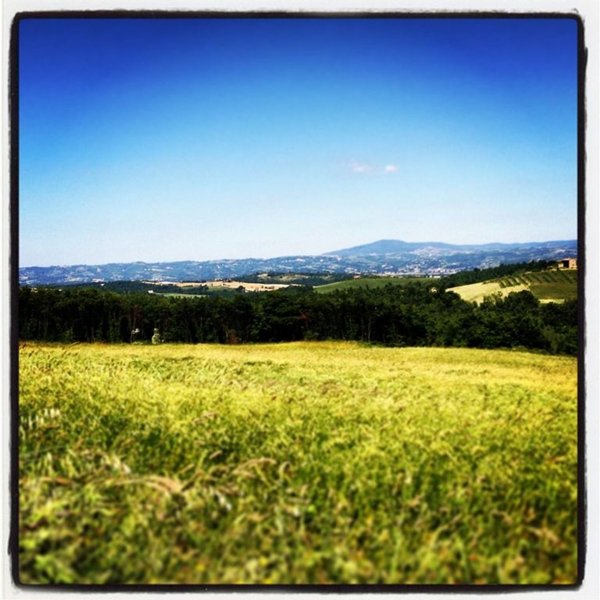 azienda agricola in vendita ad Allerona
