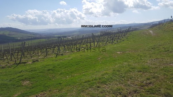 rudere in vendita ad Allerona