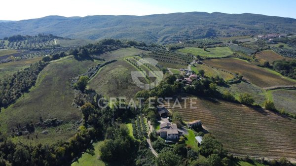 azienda agricola in vendita ad Allerona