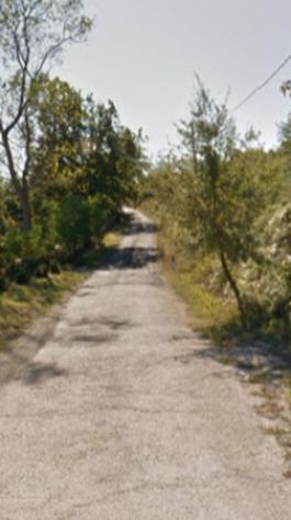 terreno agricolo in vendita ad Allerona