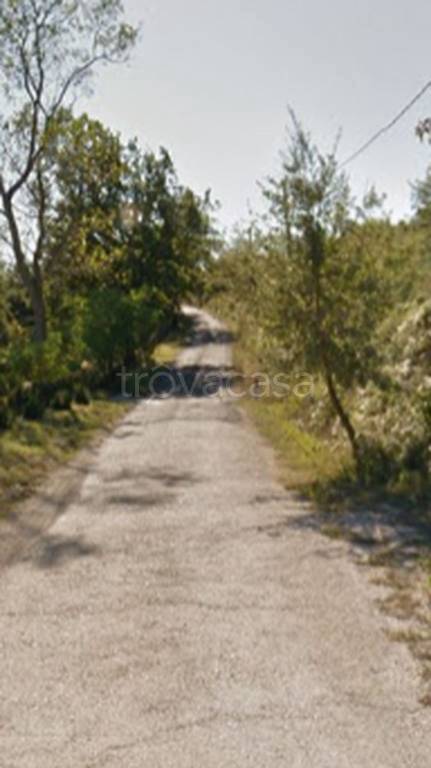 terreno agricolo in vendita ad Allerona