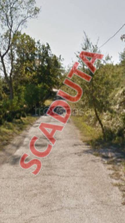 terreno agricolo in vendita ad Allerona