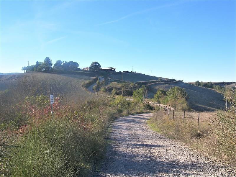 terreno agricolo in vendita ad Allerona