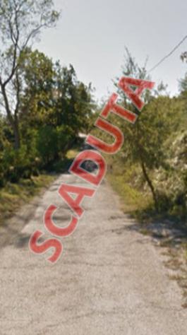 terreno agricolo in vendita ad Allerona