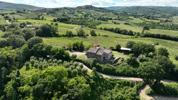 azienda agricola in vendita ad Allerona