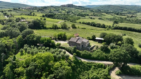 azienda agricola in vendita ad Allerona
