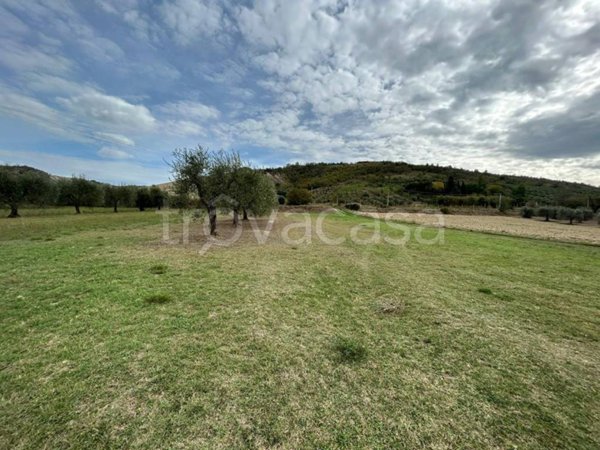 terreno agricolo in vendita ad Alviano
