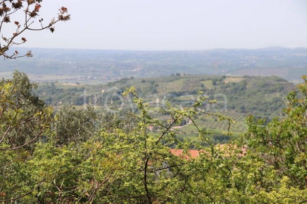 terreno agricolo in vendita ad Alviano