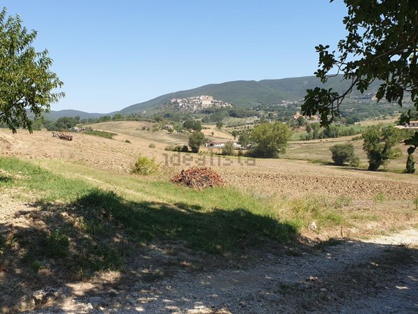 casa indipendente in vendita ad Alviano