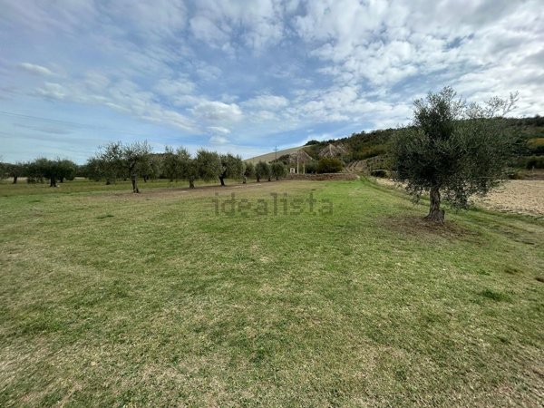 terreno agricolo in vendita ad Alviano