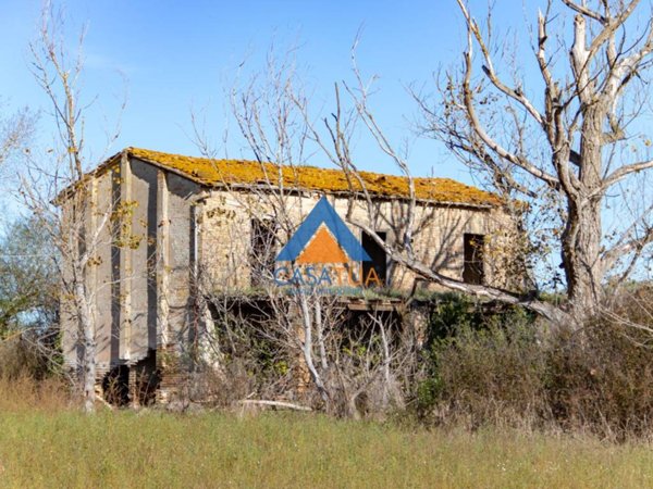 casa indipendente in vendita ad Alviano