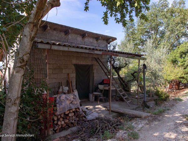 locale commerciale in vendita ad Alviano