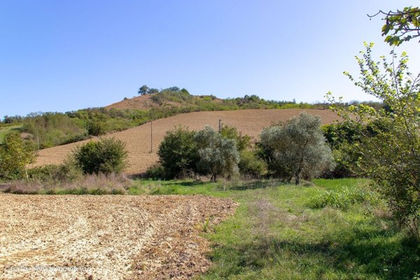appartamento in vendita ad Alviano